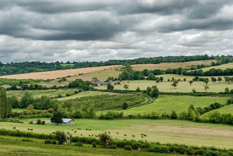 Pourquoi faut-il conserver les haies agricoles