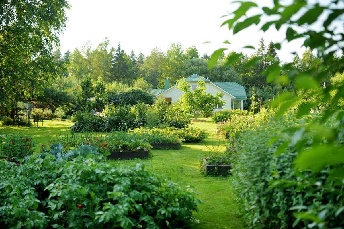 Les plantes idéales pour un jardin de prairie